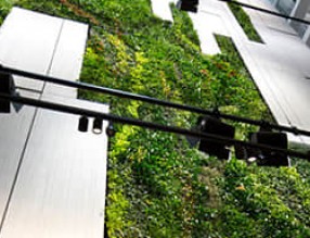 墨尔本：垂直绿化为柯林斯广场创造了绿色花园