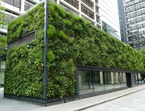 立体绿化在立体车库景观提升中的应用