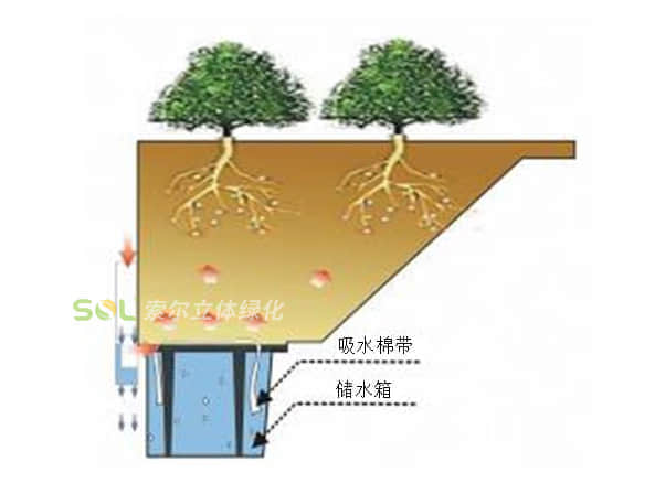 花盆式组合花树灌溉示意图