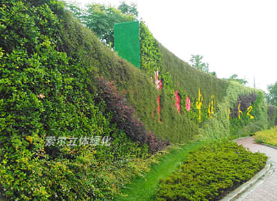 植物墙景观提升