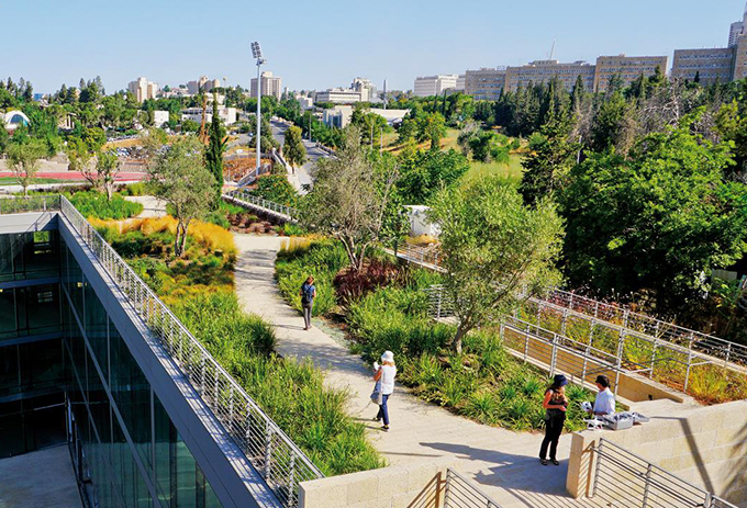 12以色列国家考古学院屋顶花园.jpg