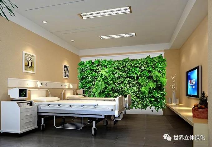 18氧妈妈-智能植物墙应用于医院.jpg