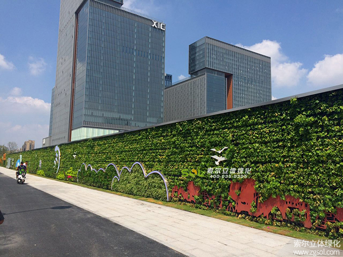 10 G20峰会浙江杭州庆春广场植物墙3319项目2016年9月 (1).jpg