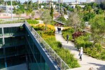 公共场所景观提升学校屋顶花园