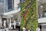 购物中心景观提升建筑绿化