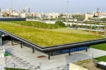 公共空间景观提升公园屋顶绿化