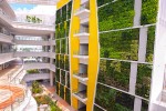 学校医院景观提升学校垂直绿化