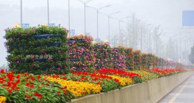 重庆花博会隔离带绿化美化