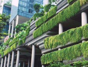 助力城市碳中和，立体绿化解决方案有哪些？