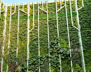 杭州某公司屋顶植物墙工程案例