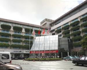 杭州望湖宾馆窗台绿化案例