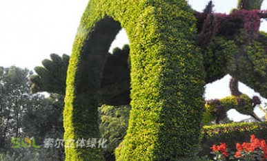 国庆主题绿雕