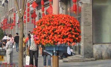 街道节点景观提升-灯杆绿化