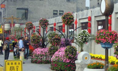 街道节日景观提升-花树
