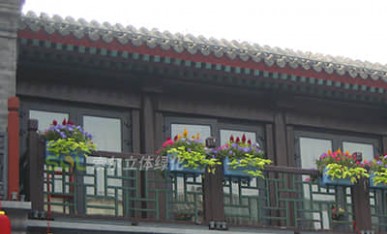 街道景观提升-阳台绿化