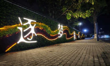 项目夜景展示