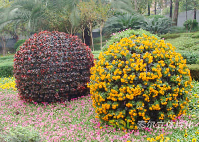 重庆花博会花球景观提升