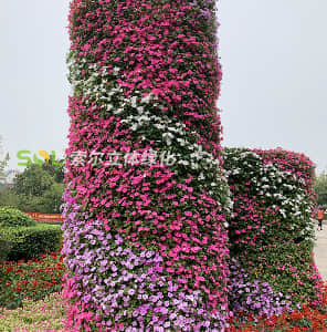 卡盆式景观花柱