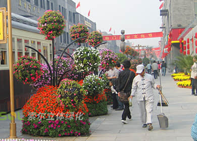 北京前门大街国庆花树景观提升