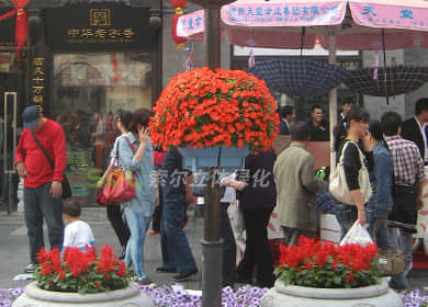 北京前门步行街景观提升灯杆绿化