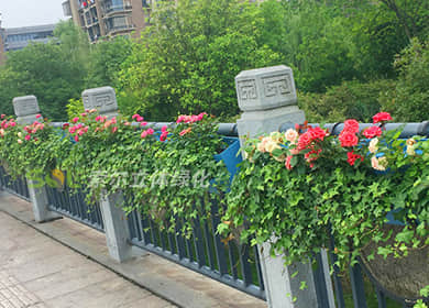 杭州西溪湿地花朝节护栏绿化景观提升