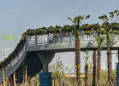 武汉林业集团立体绿化示范基地人行天桥景观提升