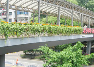 湖北武汉光谷步行街人行天桥景观提升