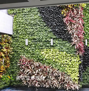容器模块式植物墙