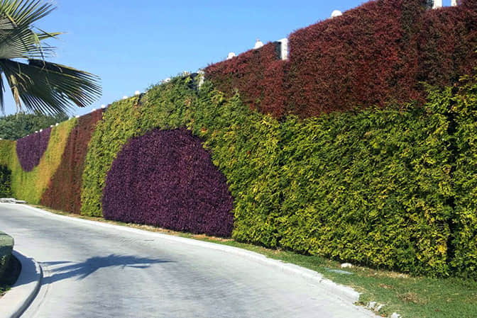 道路景观提升围墙植物墙