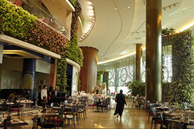 餐厅垂直绿化景观提升