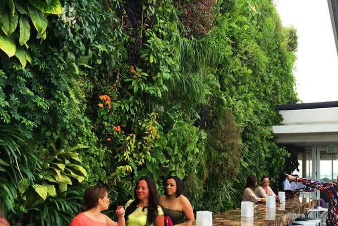 建筑绿化及景观提升屋顶植物墙