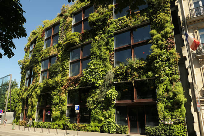 建筑绿化及景观提升