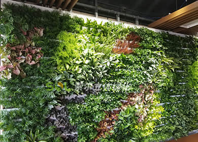重庆室内WIFI智能生态植物墙