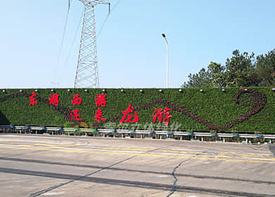 衢州龙游收费站垂直绿化
