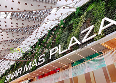 上海白玉兰广场购物中心室内植物墙项目