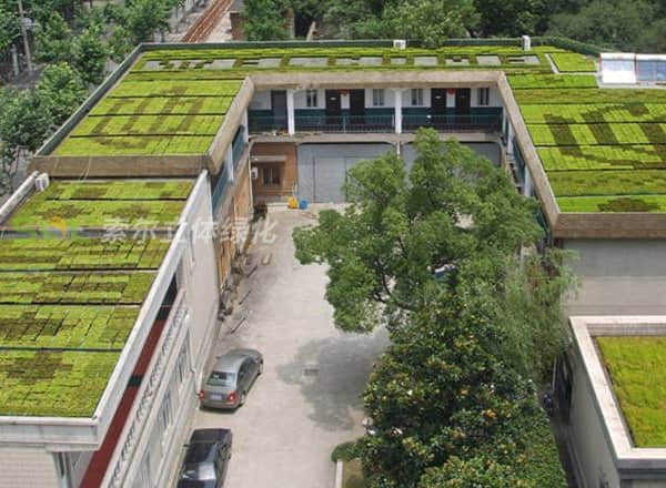屋顶绿化灌溉养护