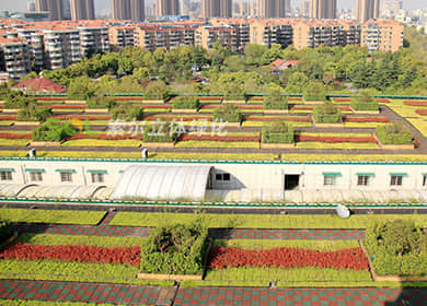 杭州钱江市场屋顶绿化
