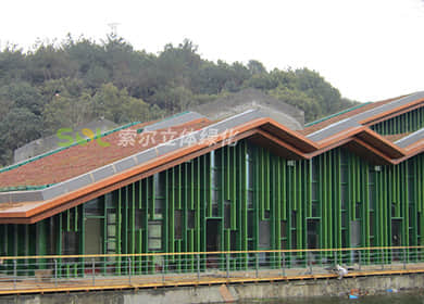 杭州杭帮菜博物馆斜坡屋顶绿化