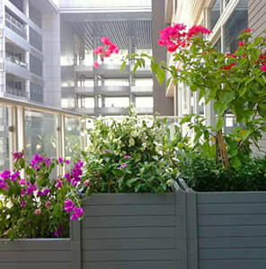 阳台花园-模块化组合造景