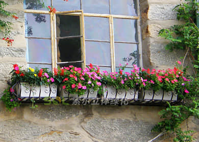 江西庐山植物园窗台美化