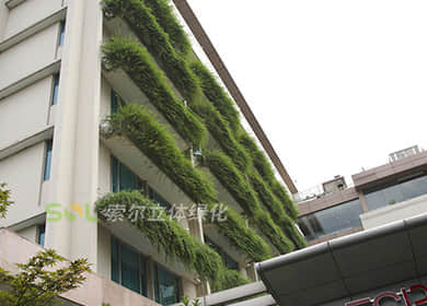 杭州望湖宾馆窗台绿化