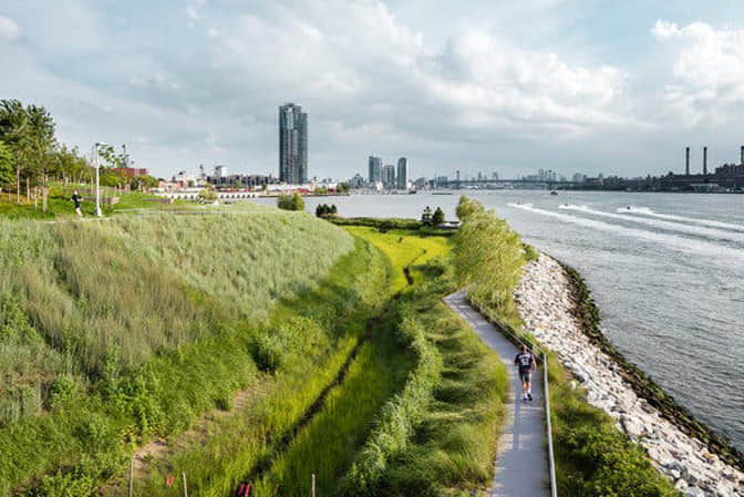 入江口景观提升河堤绿化