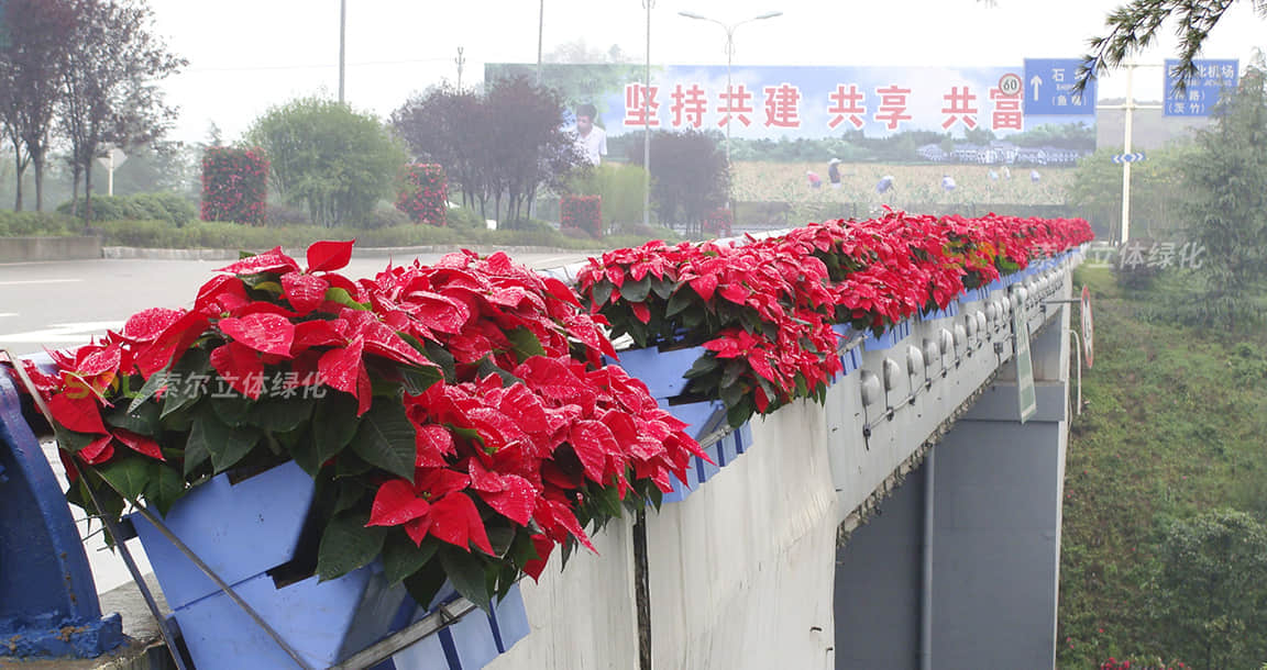 重庆花博会护栏绿化景观提升