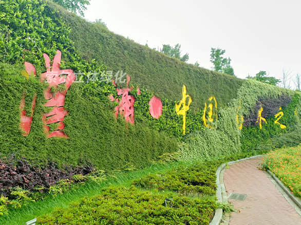 植物墙景观提升