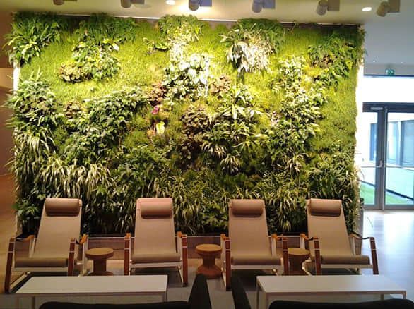 医院室内植物墙