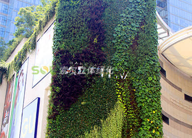 上海金虹桥国际中心垂直绿化