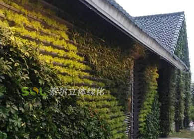 义乌公厕垂直绿化工程案例