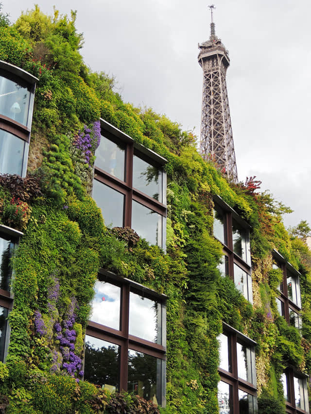 法国巴黎凯布朗利博物馆MuséeduQuai Branly (5)-2.jpg