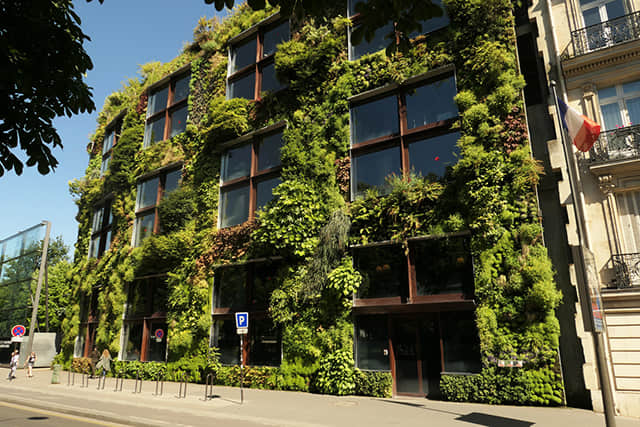 法国巴黎凯布朗利博物馆MuséeduQuai Branly (22)-2.jpg