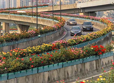 杭州高架桥立体绿化